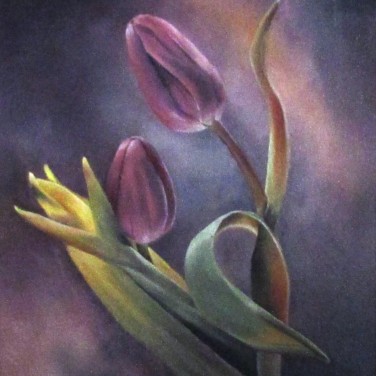 Tulips at Twilight